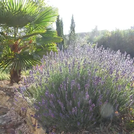 Vakantiehuis Lavendel *